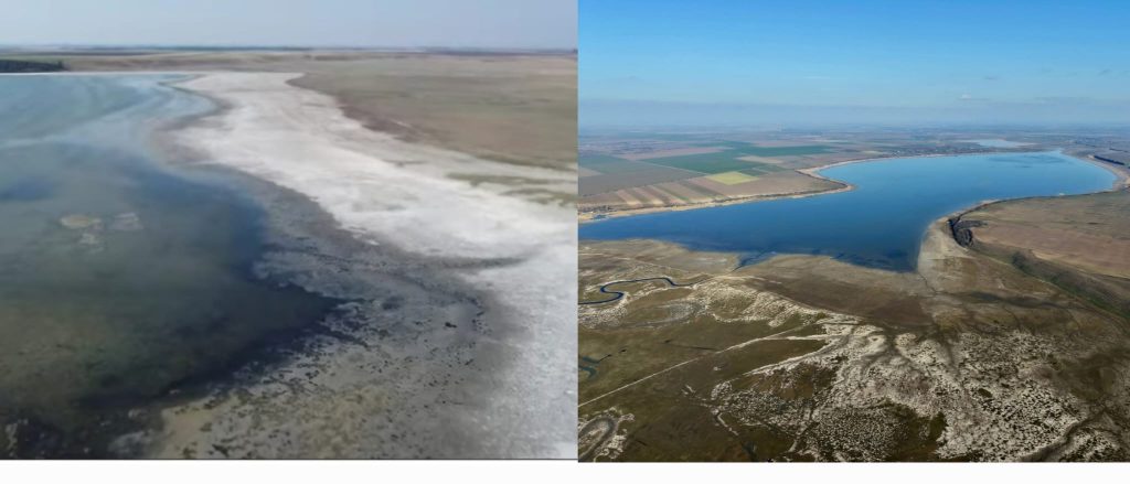 (VIDEO) Lacul Balta Albă renaște după secetă. Imaginile care arată contrastul, la diferență de patru ani