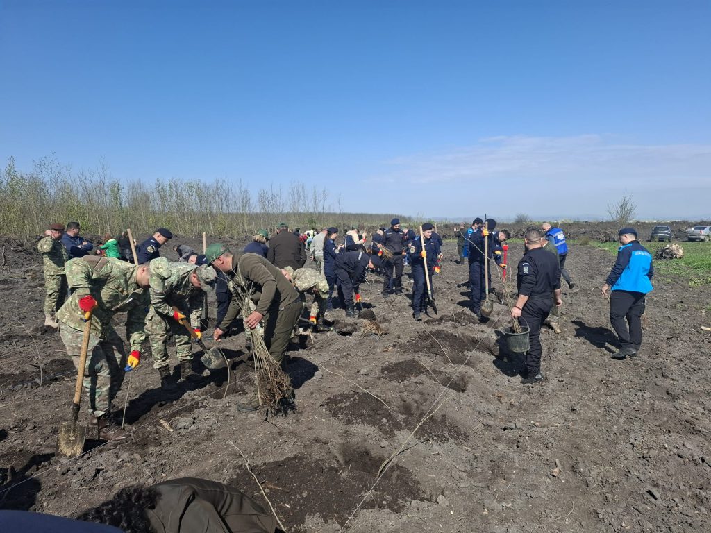 Amplă campanie de împădurire, cu sute de participanți. Peste 1 000 de puieți, plantați într-o singură zi (FOTO)