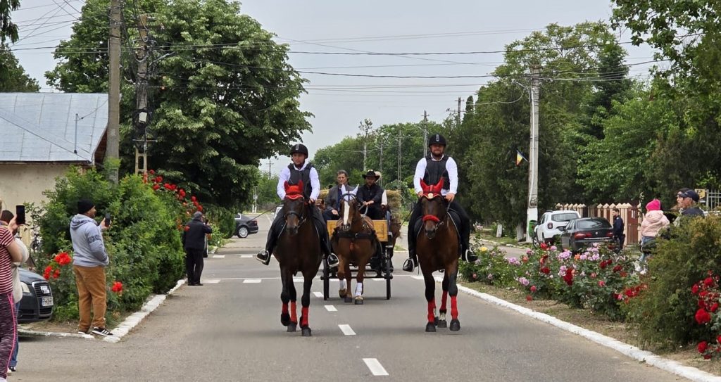 (GALERIE FOTO) Tradiție păstrată la Rușețu! Parada cailor a încântat copiii și a scos localnicii în stradă