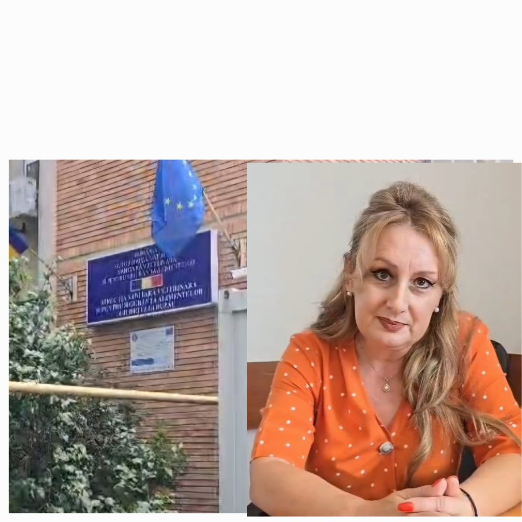 Suspiciune de boală rară într-o fermă de porci din Buzău. I se mai spune și râia turbată. Ce spun medicii veterinari
