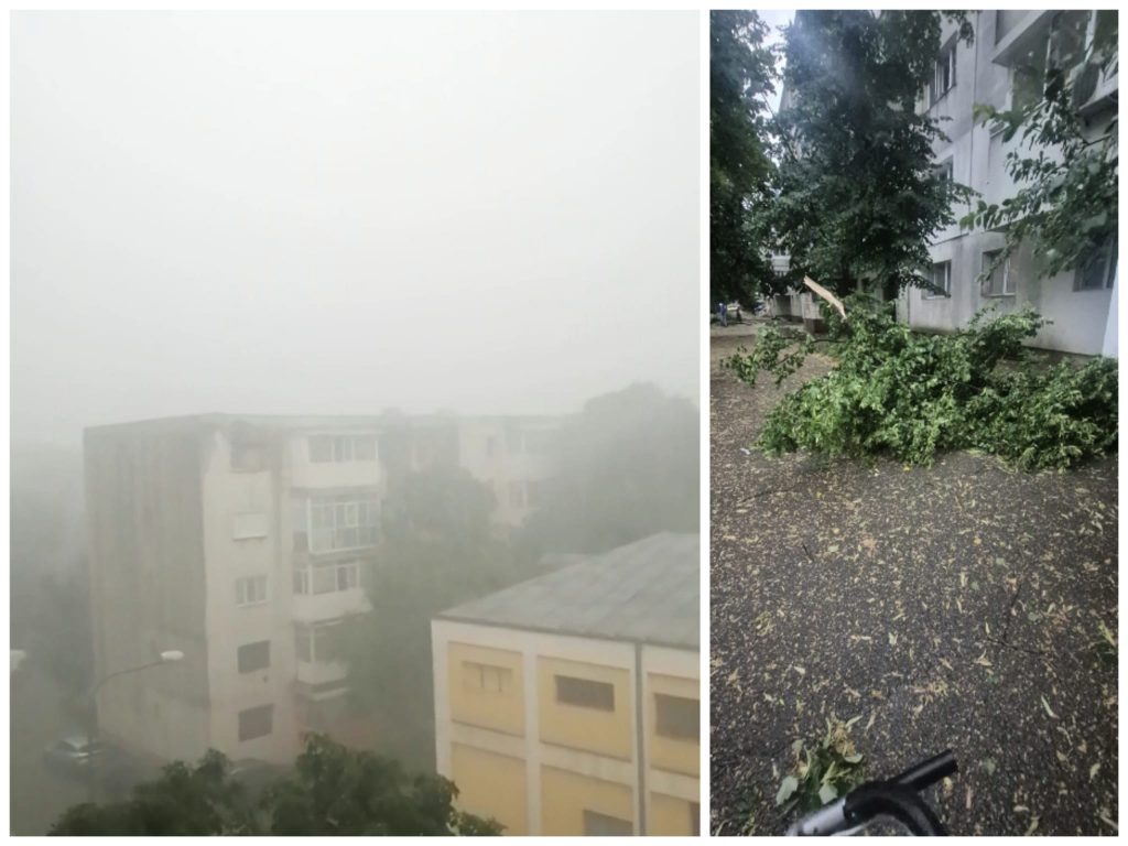 BREAKING NEWS! Furtună puternică în municipiul Buzău! Copaci căzuți, intervin pompierii (FOTO&VIDEO)