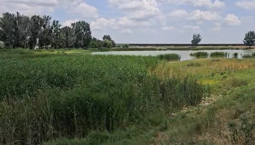 INDOLENȚĂ CRASĂ! Un mic colț de paradis, amenințat cu dispariția