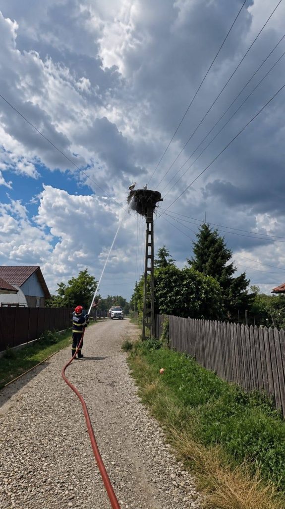 Incendiu la un cuib de berze. Intervenția emoționantă a pompierilor din Buzău