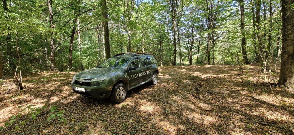 Mașinile Gărzii Forestiere Focșani, puse sub sechestru pentru datorii salariale! Cum au scăpat de sigiliu autoturismele folosite de inspectorii din Buzău